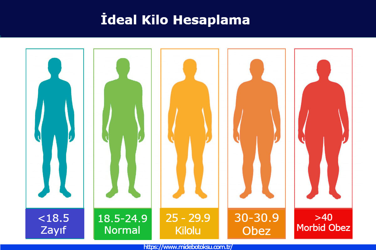 Mide Botoksu - İdeal Kilo Hesaplama